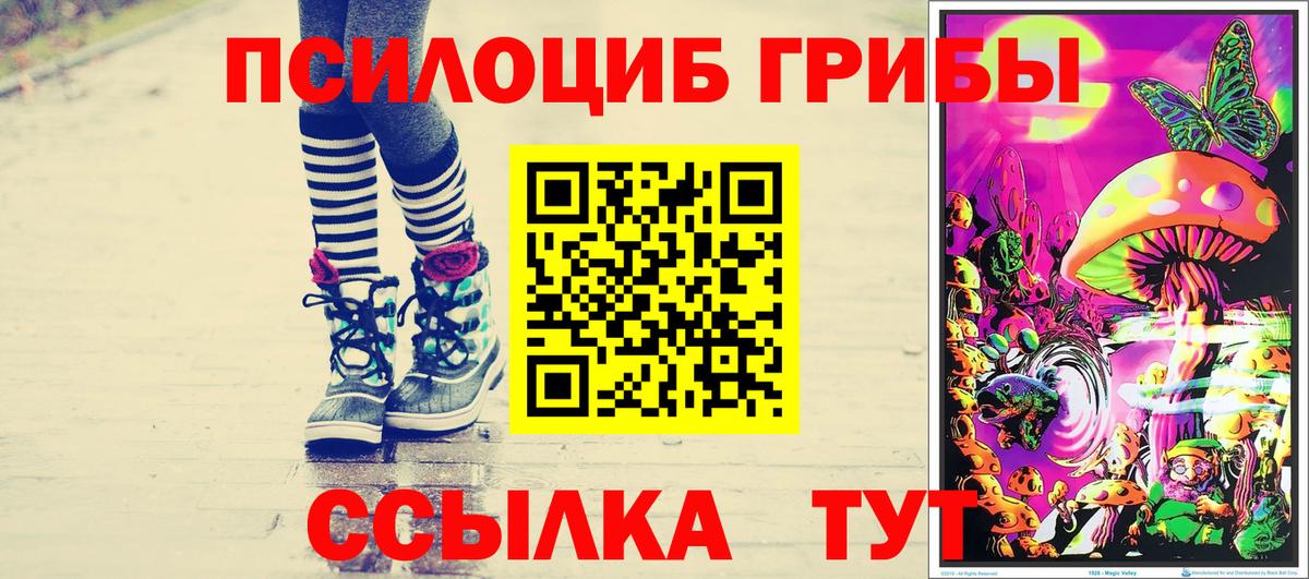 Галлюциногенные грибы Psilocybine cubensis Узловая